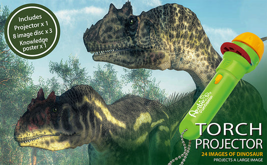 Dinosaur torch projector 24 images
