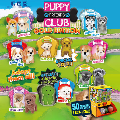 Gold edition Puppy Club Countertop Capsule Display(5cm L40)