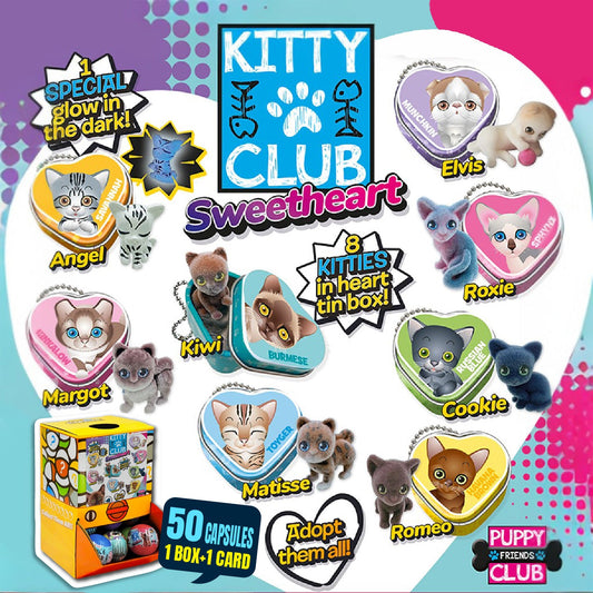 Kitty figure w/heart Tin box Countertop Capsule Display(5cm L40)