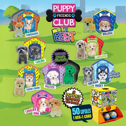 Puppy Club The Best Home Countertop Capsule Display(5cm L40)