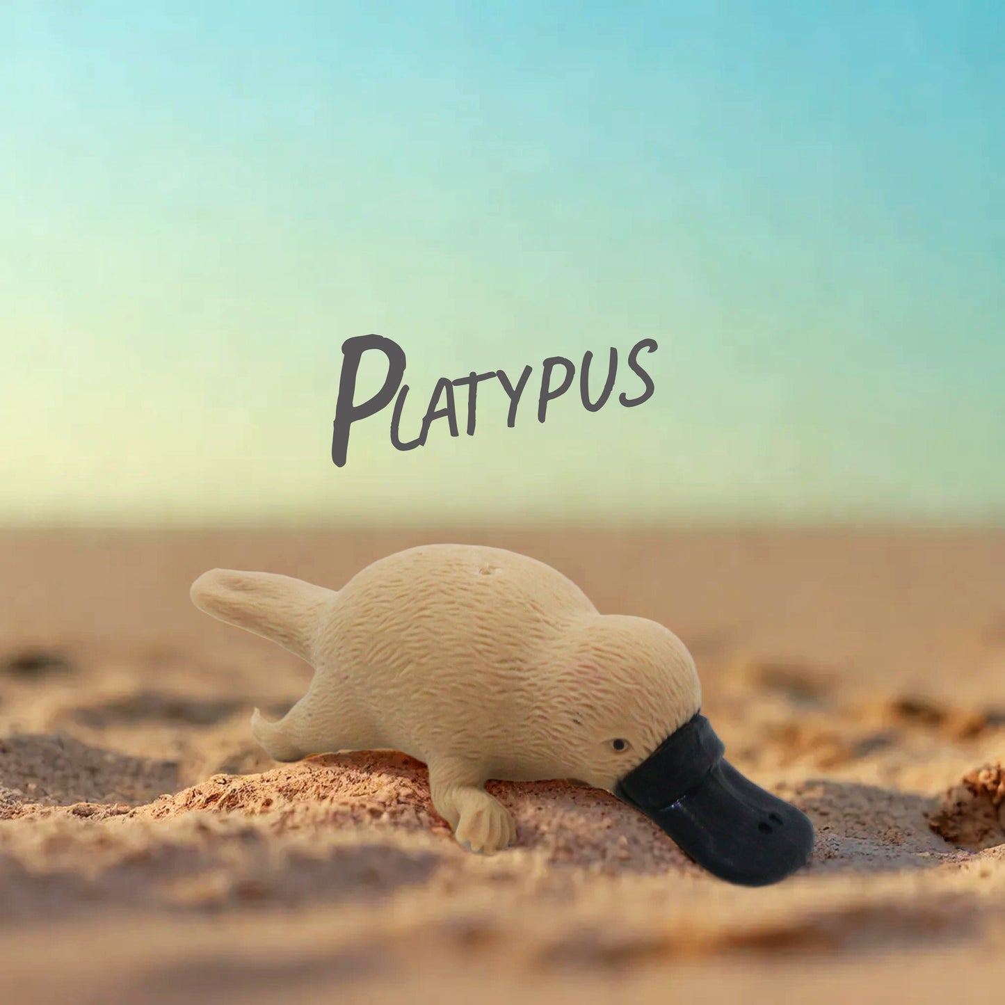 Squishy Australian Wildlife Gift set