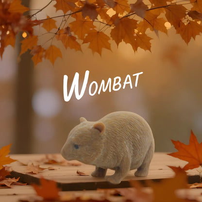 Squishy Australian Wildlife Gift set