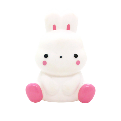 Vinyl Friendly Animal Companions in blind box