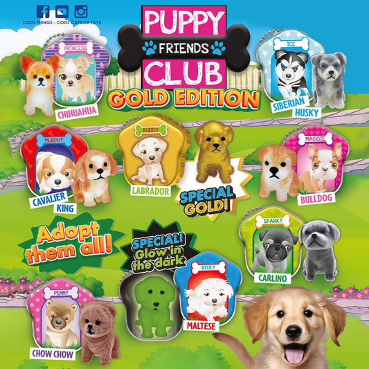 Gold edition Puppy Club the Best in 50mm capsule